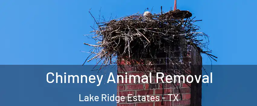Chimney Animal Removal Lake Ridge Estates - TX