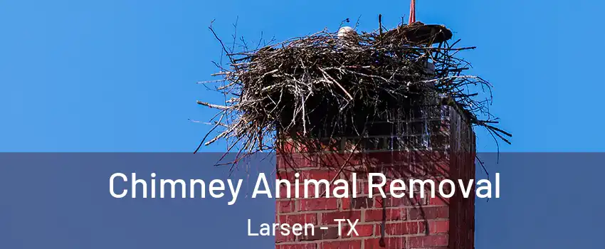Chimney Animal Removal Larsen - TX