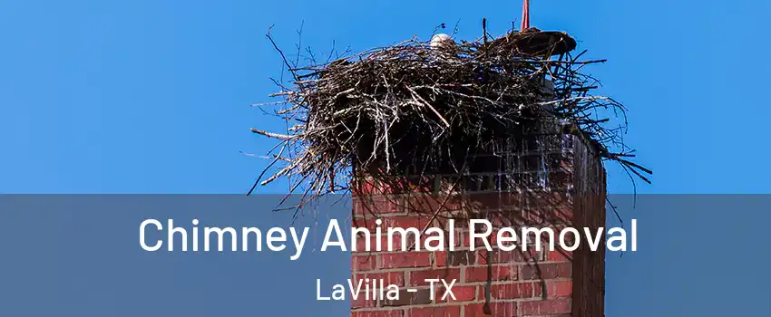 Chimney Animal Removal LaVilla - TX