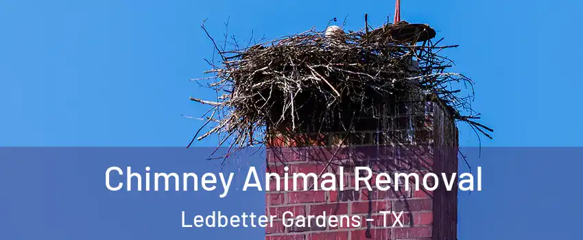 Chimney Animal Removal Ledbetter Gardens - TX