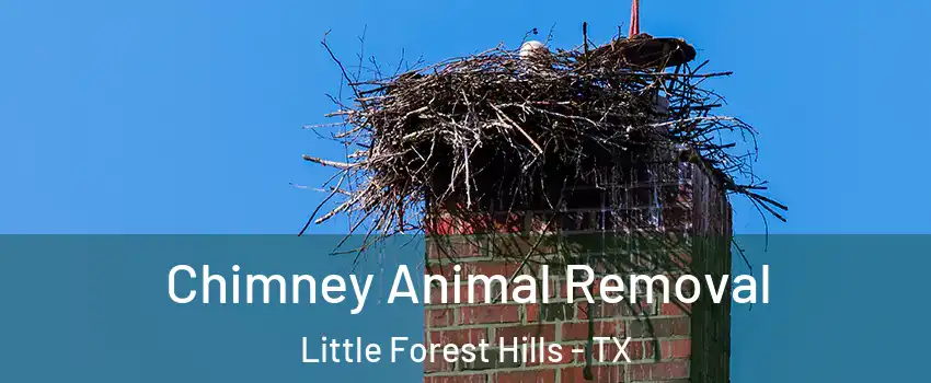 Chimney Animal Removal Little Forest Hills - TX