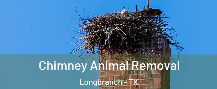 Chimney Animal Removal Longbranch - TX
