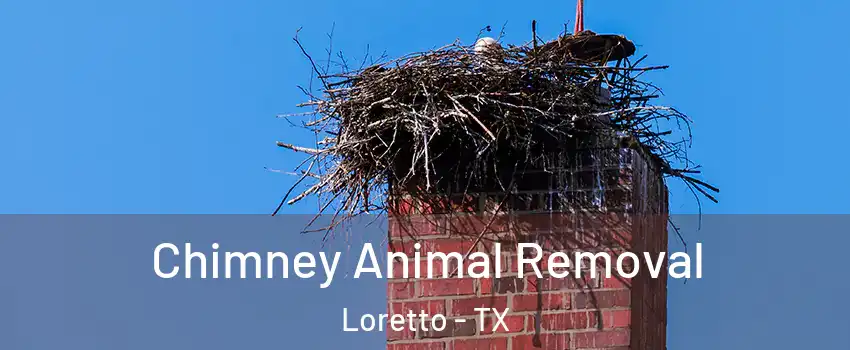 Chimney Animal Removal Loretto - TX