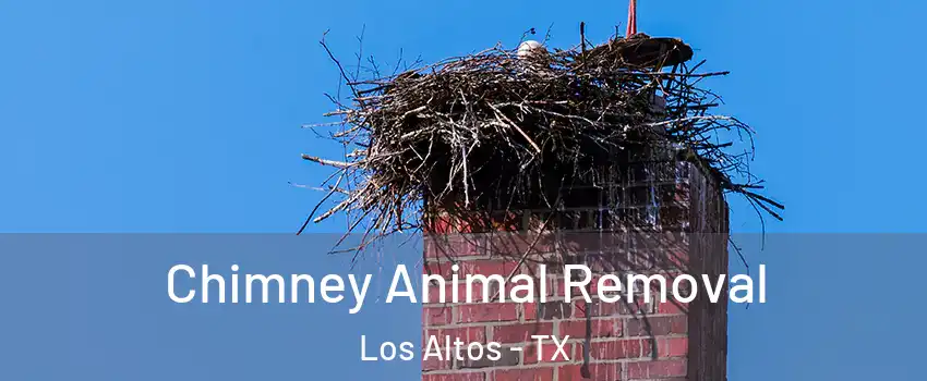 Chimney Animal Removal Los Altos - TX