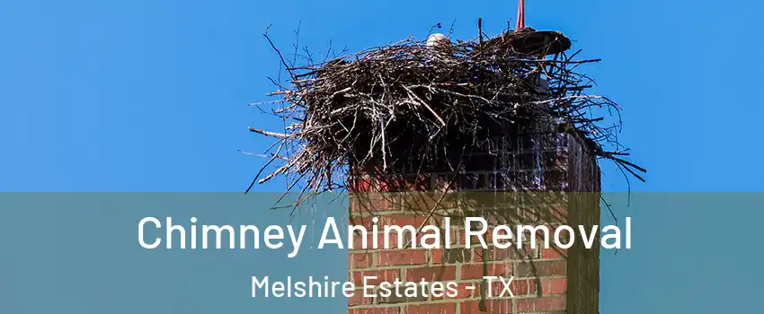Chimney Animal Removal Melshire Estates - TX