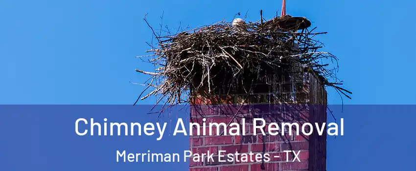 Chimney Animal Removal Merriman Park Estates - TX