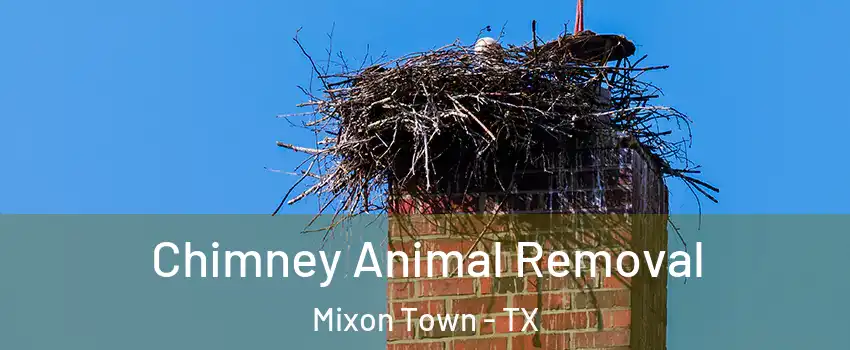 Chimney Animal Removal Mixon Town - TX