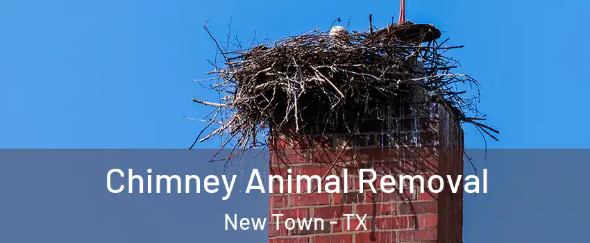 Chimney Animal Removal New Town - TX