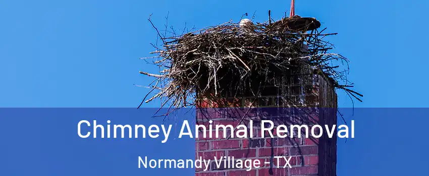 Chimney Animal Removal Normandy Village - TX