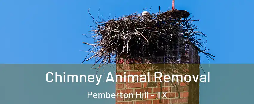 Chimney Animal Removal Pemberton Hill - TX