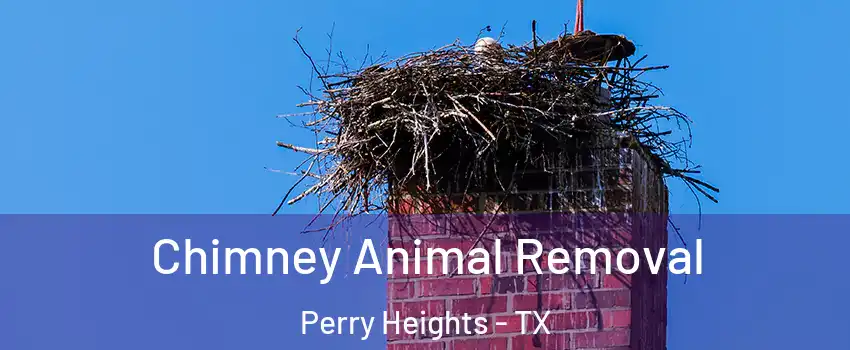 Chimney Animal Removal Perry Heights - TX