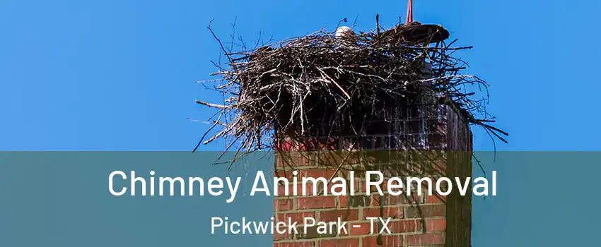 Chimney Animal Removal Pickwick Park - TX