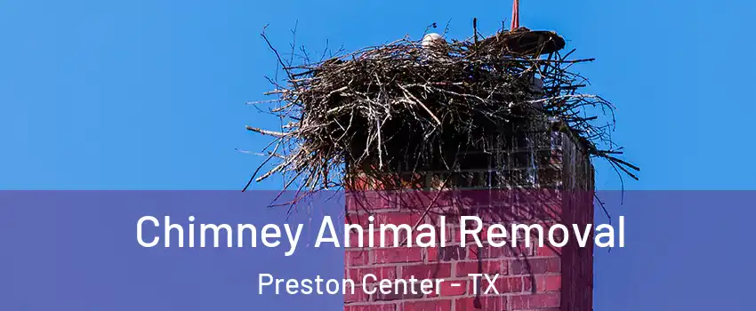 Chimney Animal Removal Preston Center - TX