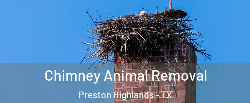 Chimney Animal Removal Preston Highlands - TX