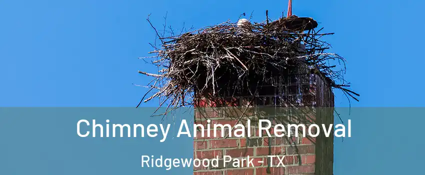 Chimney Animal Removal Ridgewood Park - TX