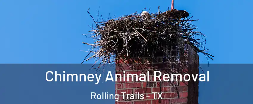 Chimney Animal Removal Rolling Trails - TX