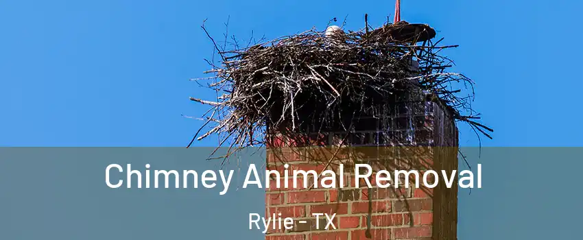Chimney Animal Removal Rylie - TX