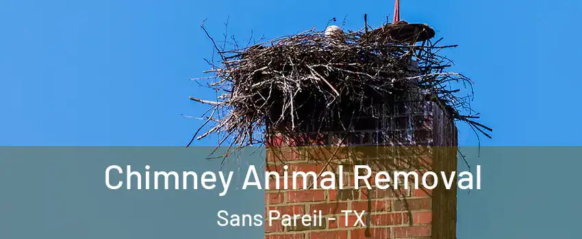 Chimney Animal Removal Sans Pareil - TX
