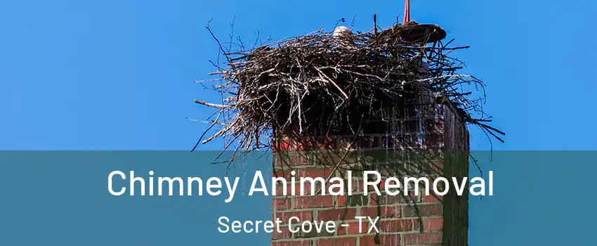 Chimney Animal Removal Secret Cove - TX