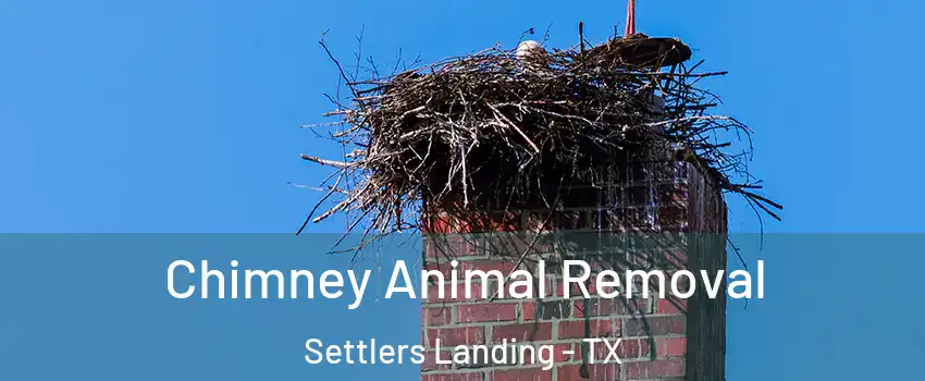 Chimney Animal Removal Settlers Landing - TX