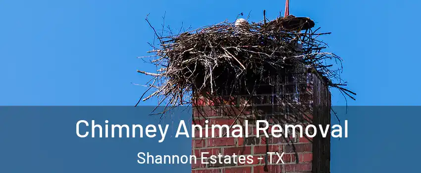 Chimney Animal Removal Shannon Estates - TX