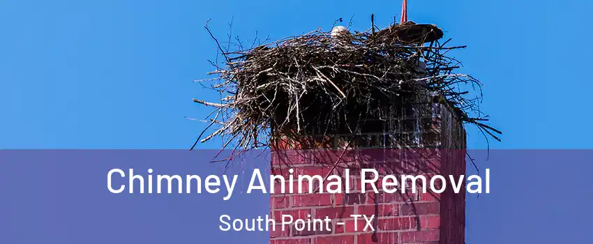 Chimney Animal Removal South Point - TX