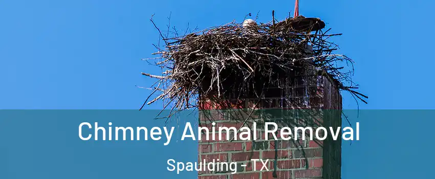 Chimney Animal Removal Spaulding - TX