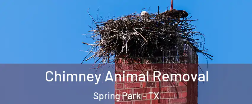 Chimney Animal Removal Spring Park - TX