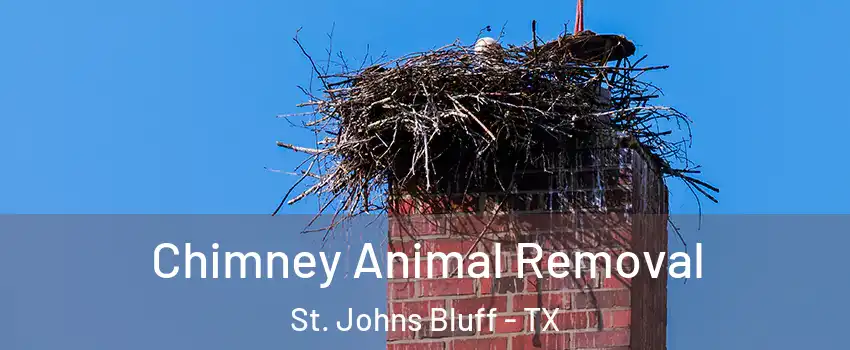 Chimney Animal Removal St. Johns Bluff - TX