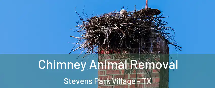 Chimney Animal Removal Stevens Park Village - TX