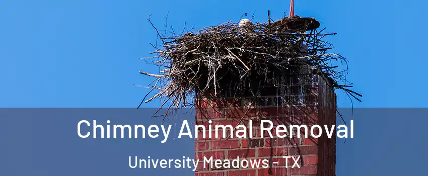 Chimney Animal Removal University Meadows - TX