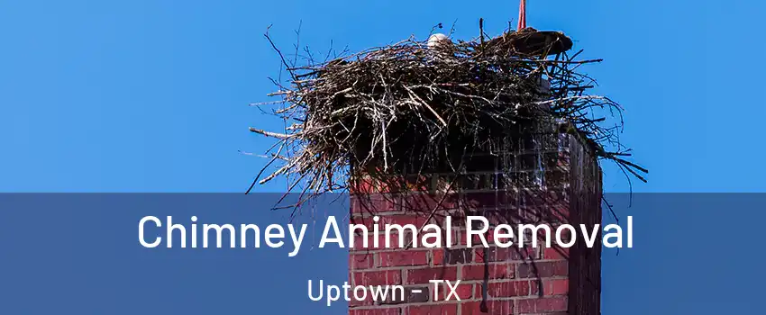 Chimney Animal Removal Uptown - TX