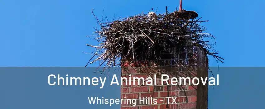 Chimney Animal Removal Whispering Hills - TX