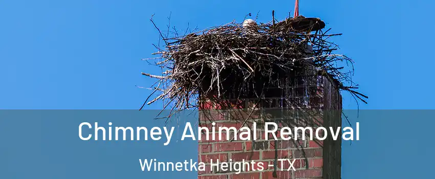 Chimney Animal Removal Winnetka Heights - TX
