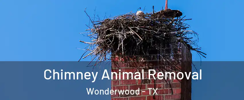 Chimney Animal Removal Wonderwood - TX
