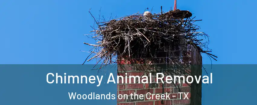 Chimney Animal Removal Woodlands on the Creek - TX