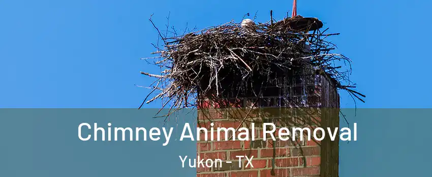 Chimney Animal Removal Yukon - TX