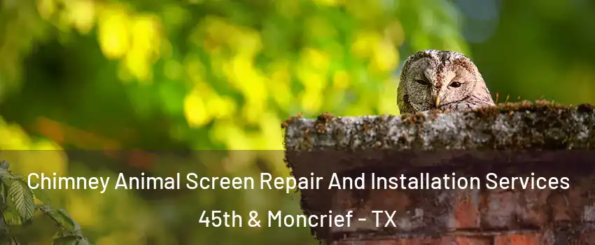 Chimney Animal Screen Repair And Installation Services 45th & Moncrief - TX