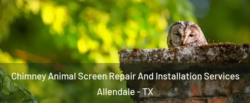 Chimney Animal Screen Repair And Installation Services Allendale - TX