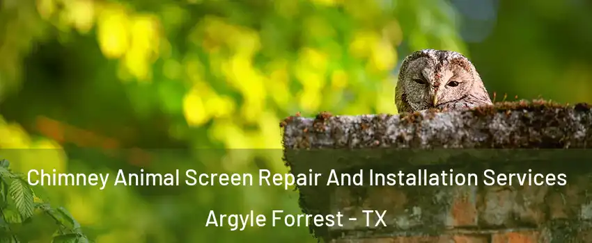 Chimney Animal Screen Repair And Installation Services Argyle Forrest - TX