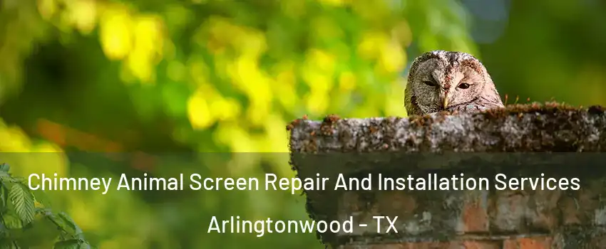 Chimney Animal Screen Repair And Installation Services Arlingtonwood - TX