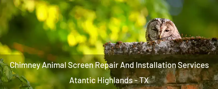 Chimney Animal Screen Repair And Installation Services Atantic Highlands - TX