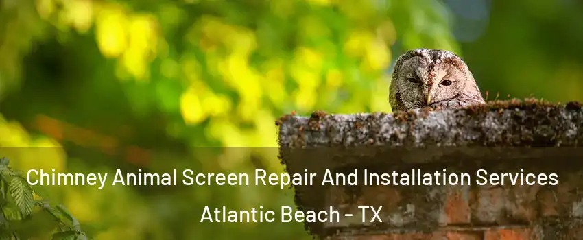 Chimney Animal Screen Repair And Installation Services Atlantic Beach - TX
