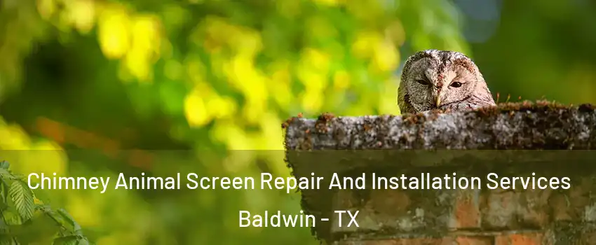 Chimney Animal Screen Repair And Installation Services Baldwin - TX