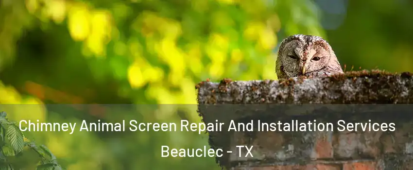 Chimney Animal Screen Repair And Installation Services Beauclec - TX