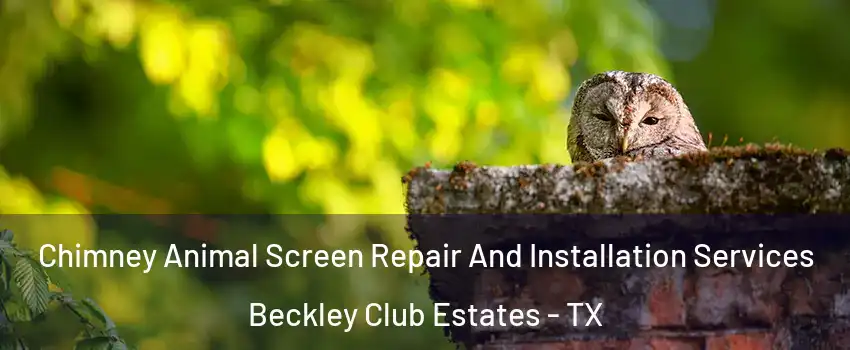 Chimney Animal Screen Repair And Installation Services Beckley Club Estates - TX