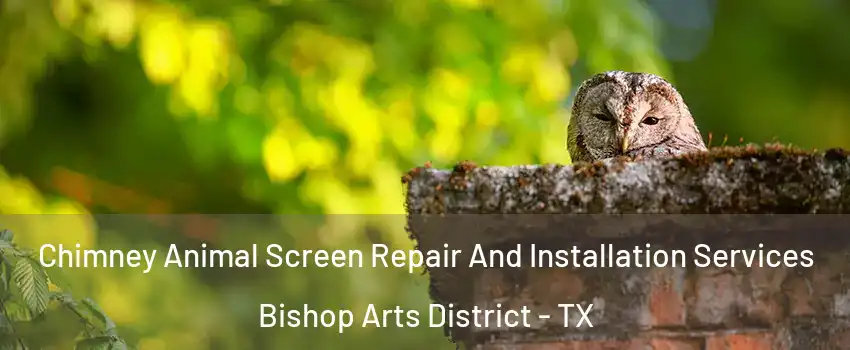Chimney Animal Screen Repair And Installation Services Bishop Arts District - TX