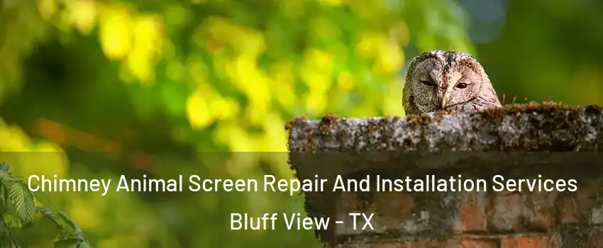 Chimney Animal Screen Repair And Installation Services Bluff View - TX