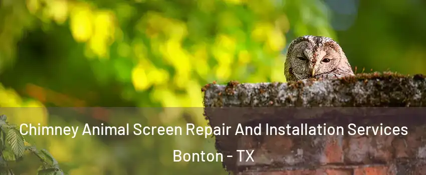 Chimney Animal Screen Repair And Installation Services Bonton - TX