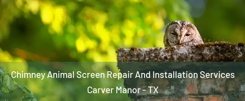 Chimney Animal Screen Repair And Installation Services Carver Manor - TX